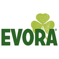 Evora Bier aus Fürth